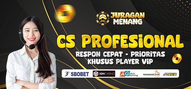 CS PROFESIONAL